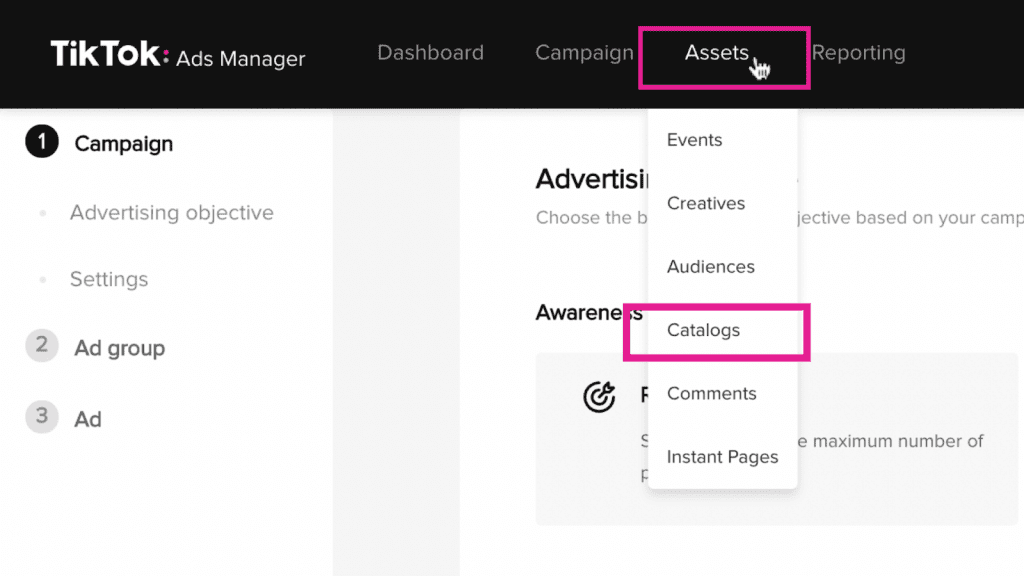 TikTok Ads Manager Assets Catalogs