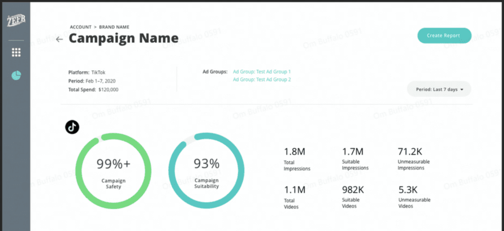 Zefr TikTok campaign overview