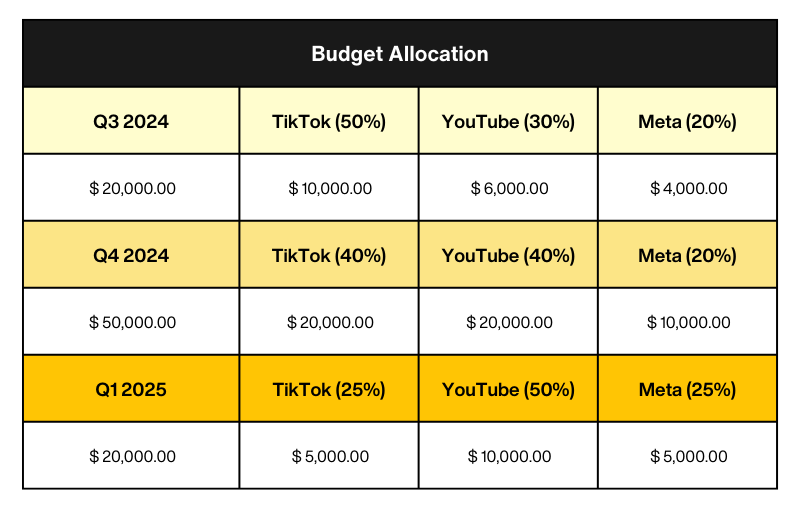 Budget allocation post US TikTok ban