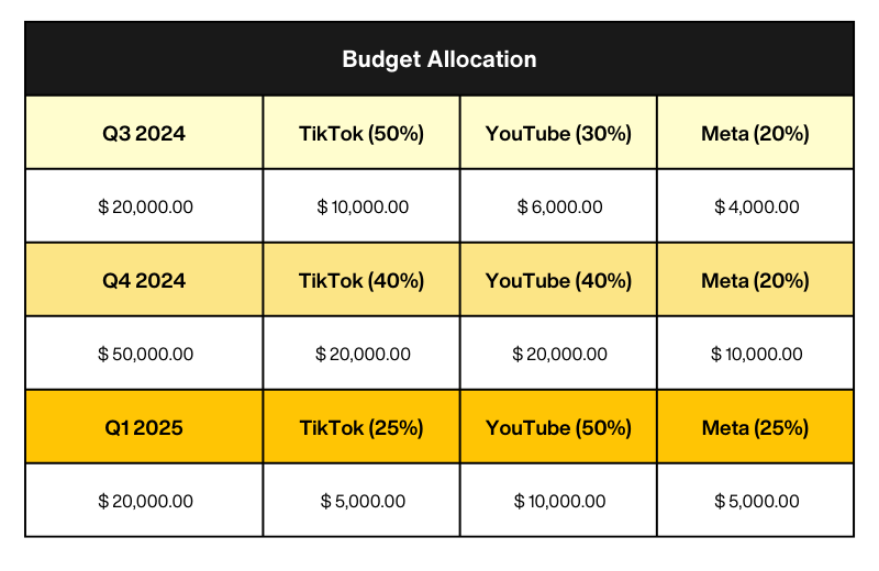 Budget-allocation-post-US-TikTok-ban