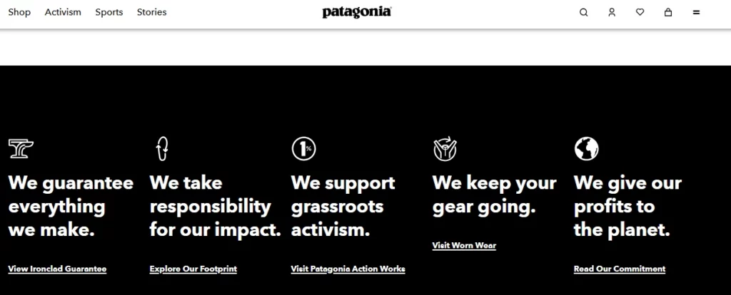 Digital Marketing Trends 2025 - Sustainability Promise by Patagonia